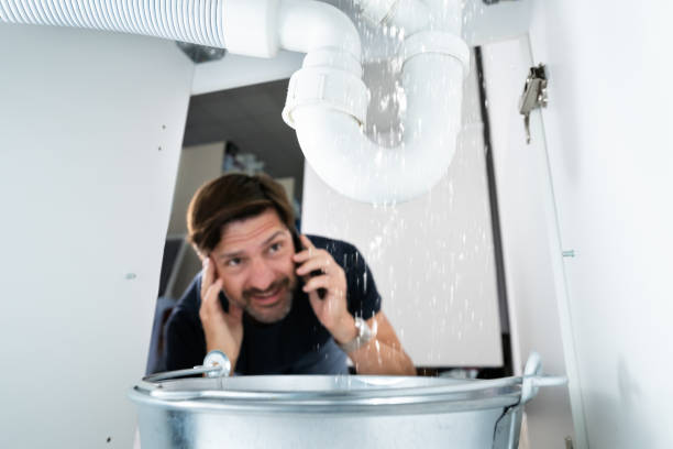 Best Sprinkler Systems  in Forestville, MD