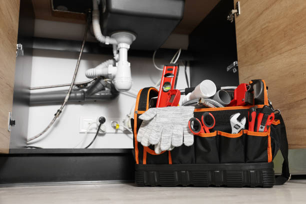 Best Residential Plumbing Services  in Forestville, MD