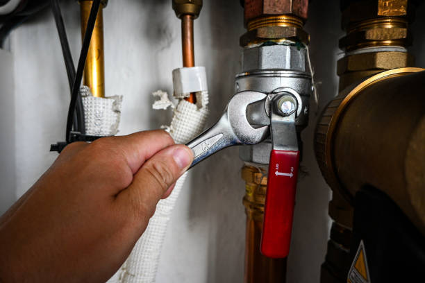 Best Sewer Line Replacement  in Forestville, MD